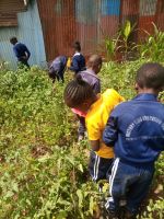 School Program